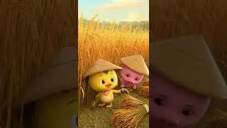Chicks harvesting rice with piglets