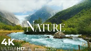 🌿 4K Nature Relaxation | Beautiful Nature Scenery &bull; Relaxing Music &bull; Stress Relief