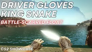Driver Gloves King Snake (Battle-Scarred) | CS2 Skin Showcase #1183