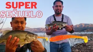 Pesca de lobina en la presa Tijuana.  釣魚.  釣り