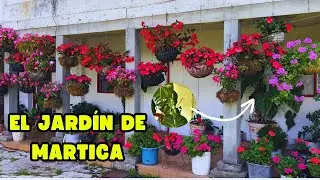Una casa sin JARDÍN no tiene VIDA: Martica nos aconseja lo lindo de tener PLANTAS | AP