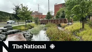 Montreal is building dozens of 'sponge parks' to soak up excess rain