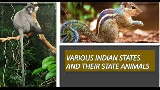 Indian State Animals |List of Indian State Animals | State Animals of India | Revised Stat