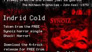 Synoiz - Indrid Cold