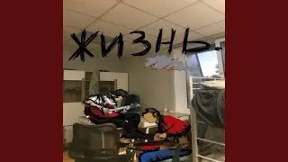 Жизнь