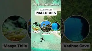 Some of the Best Scuba Diving Destinations - Maldives