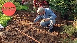 Burke's Backyard, How to Grow Asian Greens. Fast growing.