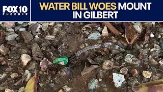 Gilbert inspecting water meters amid ongoing bill complaints | FOX 10 Phoenix