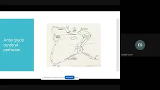 PACTA Online Lecture Series - 26 Jul 2026