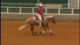 Reining Horses For Sale - www.fgauthiertrining.com - Ghost Butster Rima