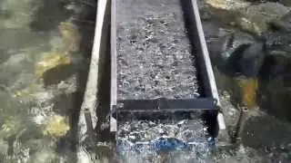 4lb expanded metal 001