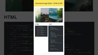 Animated Image Slider using HTML and CSS 
