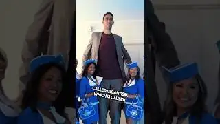 Самый высокий человек в мире 😳
