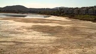Smelly lagoon at Spinnaker Point neighborhood in San Rafael