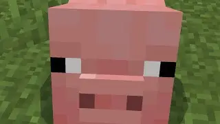 Playing Minecraft did not gowell😂🤣