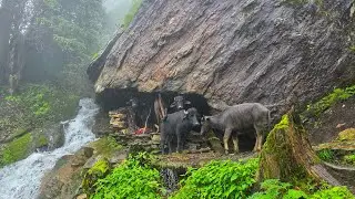 Real Nepali Mountain Village Life During the Rain | Most Peaceful And Relaxing Village Life |