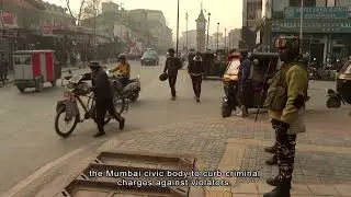 Protests Sparked for Banning Pigeon-feeding in India | HOY International Business Channel