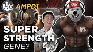 Why You Can (or Can't) Have Super Strength | DNA Fitness Genetics - Super Strength Gene (AMPD1)