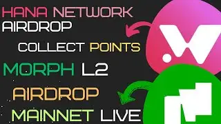 Hana Network Airdrop -- Mainnet Live 🔥|| Morph L2 Airdrop -- Mainnet Live ✅️|| Airdrop Updates 🔄|