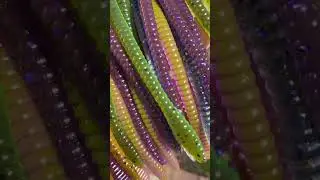Never hurts to have options! #shorts #bassfishing #bassfishinglures #fishing #softplasticbaits