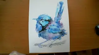 Blue bird painting watercolor, bird art, fairy blue wren bird illustration