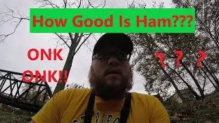Do Catfish like Ham?