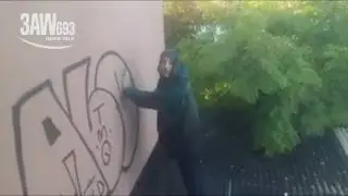 Graffiti vandal caught on woman's roof (FULL)