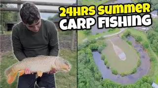 Can We Catch a 20LB Carp In 24hrs? (Part 2)