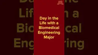 День из жизни: биомедицинская инженерия