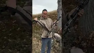 Finsling и винтовка Ruger Scout. ИДЕАЛЬНОЕ сочетание! #finsling #scoutrifle #стрелки #охота
