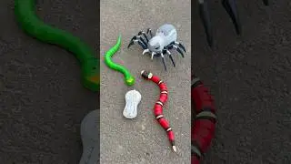 Remote control snake se to muje RC Spider Accha Laga