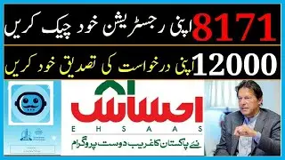 INSAAF IMDAD STATUS CHECK ONLINE|Ehsas 12000 payment start|Ehsas nadra gov pk|انصاف امداد سٹیٹس چیک