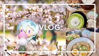 spring vlog 🍡🌸 sakura viewing, enstars picnic, homemade dango, cafe hopping