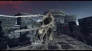 ER: Banished knight [Dual sword Red eyes] (No hit / RL1 / NG+7 / Solo / Melee)