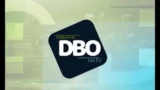 AO VIVO - DBO na TV segunda-feira, 16/10/2023