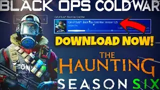 BLACK OPS COLD WAR UPDATE 1.25 RELEASED! - WHAT WAS PATCHED? DOWNLOAD IT NOW!
