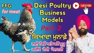 Desi Poultry Business Models for Meat  l  ਦੇਸੀ ਪੋਲਟਰੀ ਫਾਰਮਿੰਗ : ਮੀਟ ਲਈ