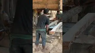 Inside a Day in the Life of an Expert Operator Sawmill Precision