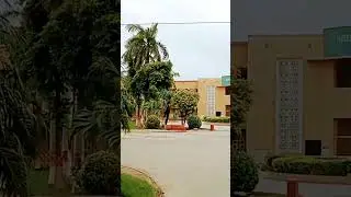 Sindh Agriculture University Tando Jam