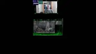 Elden ring Gameplay with crowd control make it hard or be a teammate (Portrait)