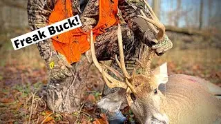 Giant Opening Day Michigan Bucks // Marion Springs Buck Pole
