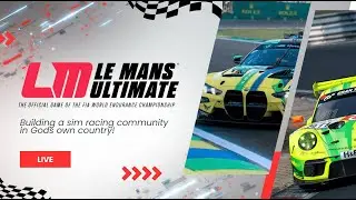 My First Team Endurance Race - 8h of Sebring | Le Mans Ultimate | Kerala Sim Community