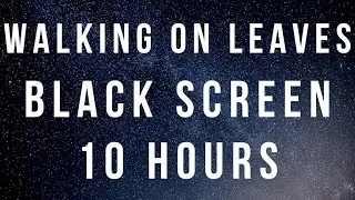 Walking On Fall Leaves - Black Screen - 10 Hours