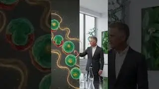 Nature's Healing Code