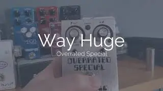 Way Huge Overrated Special - Quick and Painless Pedal Demo