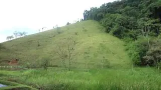 JPTHIMBAHIA  NO BRASIL ( RECANTO DO BAMB&Uacute; ) PARTE 3