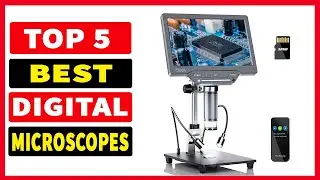 Top 5 Best Digital Microscope In 2024