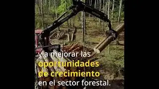 Honduras Forest Partnership _ ES