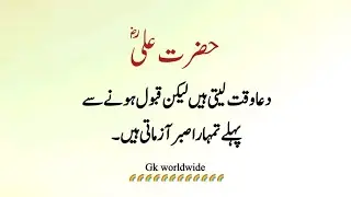 Beautiful Quotes | Achi Baten | Golden words | Shia Islamic | Hussain jafri videos 