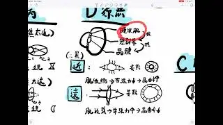 [DSE BIO 生物科]一圖溫一課系列－15 探測 （繁中字幕）